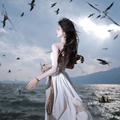 Phong Dạ Hành x Here's Go Like This (Wanji Remix Tiktok 2024) 风夜行 (越南鼓) - 蒋雪儿 Khmer Remix DJ抖音版 [pHR