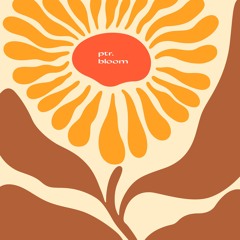 Bloom