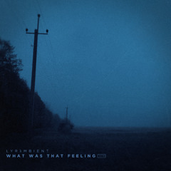 what was that feeling