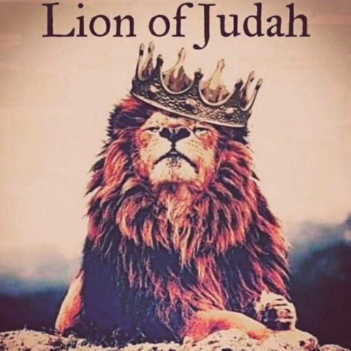 Laugh at the darkness stand in the light forgive the chaos dominate the site