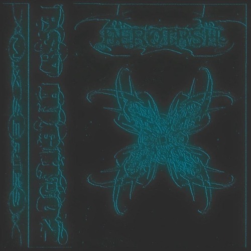 PSY HIGH 02 ⟡ berotrsh
