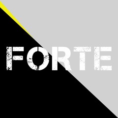 FORTE -( DJ NM )Original Mix