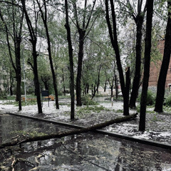 пока )))))    (prod. youngslashprod, livingpuff)