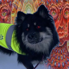 Jumputusta