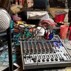 Vegetation stuck under the train tracks