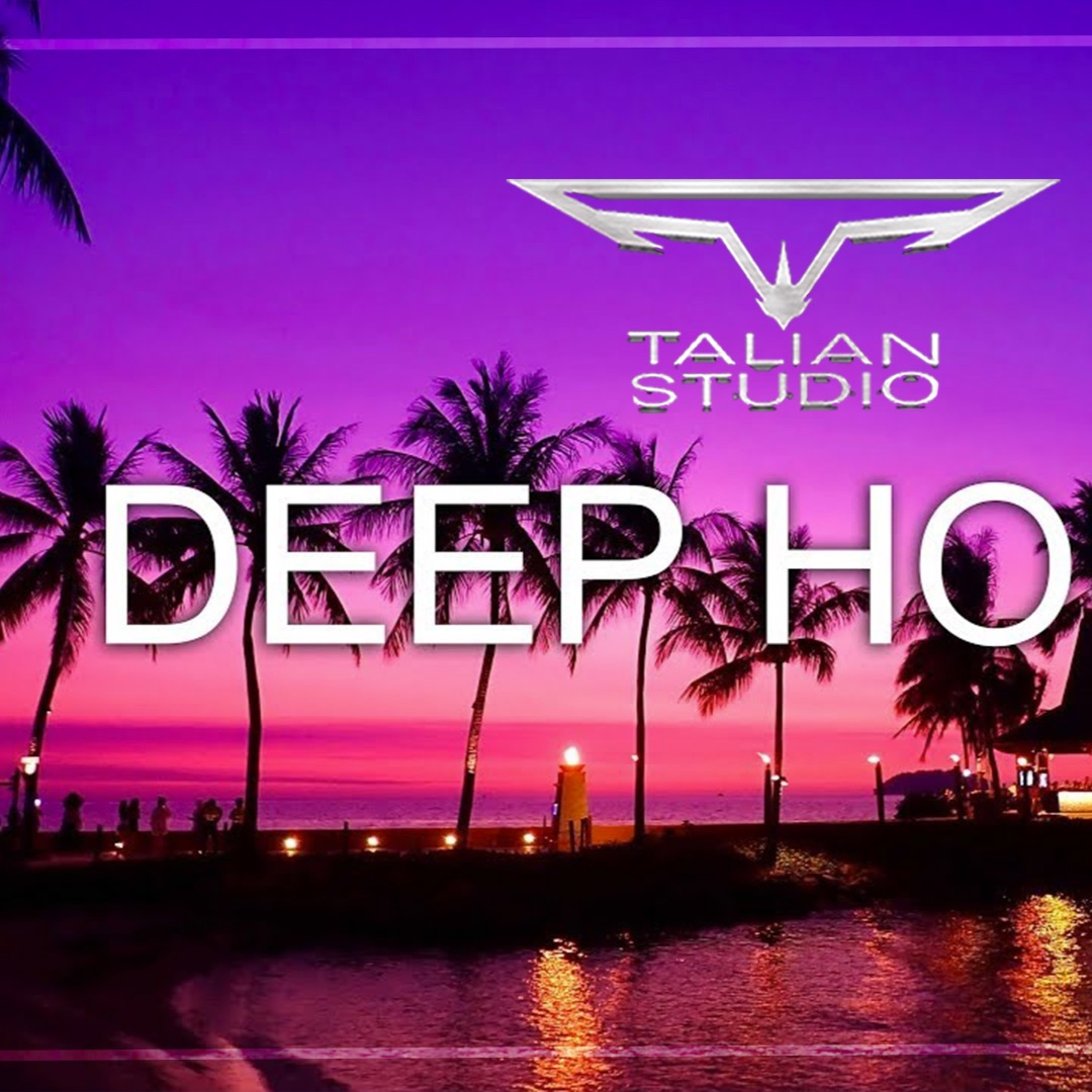 GUITAR VOCAL DEEP HOUSE TRACK episode artwork