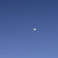 birds circling the area