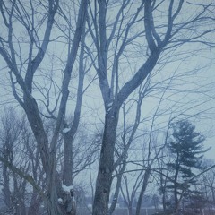 Snow Spirals