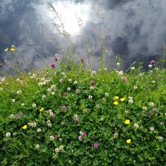 Encounters - Stories About Our Natural World. Episode 2