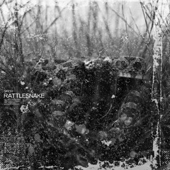 Rattlesnake