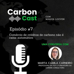 Comércio de créditos de carbono não é caixa automático