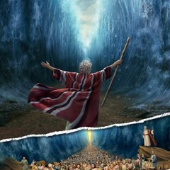 MOSSES 💨🫵🏽😤 (prod. by therealkingchristian)