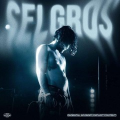 Ian - SELGROS (Leak HQ)