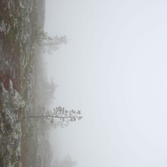 Cover of 'Lose You Too' by Shy Martin