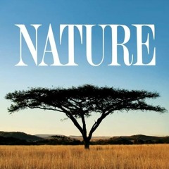 Nature; (1982) Season 42 Episode 10 Full*Episode -739156