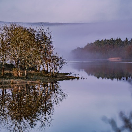 Dawn Chorus - Lakelands