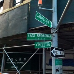 Catherine St LDSR 171