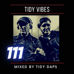 Tidy Vibes 111