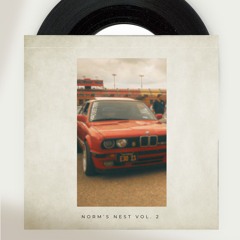 NORM'S NEST VOL. 2