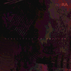 nonRA-Demolition Of Freedom