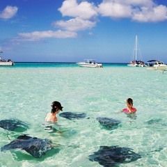 Cayman Islands (Cover)