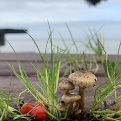 Gentle Breeze and Strong Waters