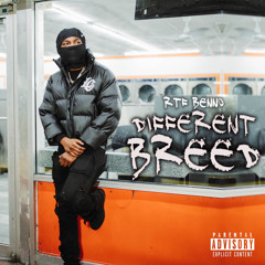 RTF Benno - Different Breed