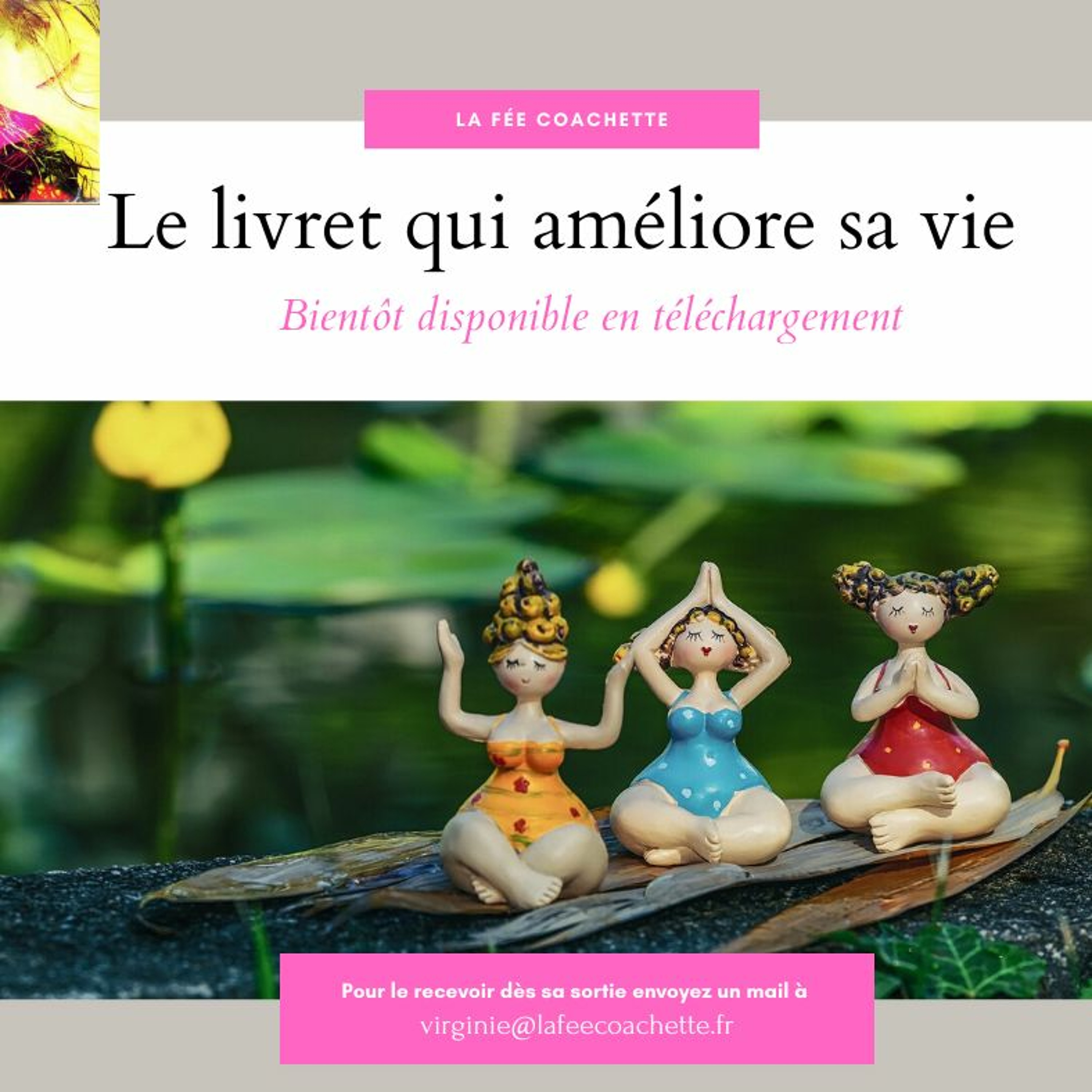 La Fée Coachette