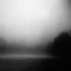 where silence froze