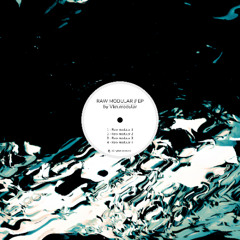 RAW MODULAR EP - Previews