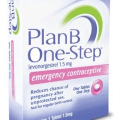 PLANBISAGUN