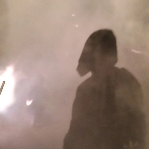 A Flight Without Metamorphosis