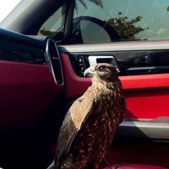 بـندب نـسـيم الـصبـايـا ♡