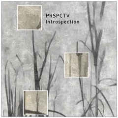 PREMIERE: PRSPCTV - Prototype [Aarden Records]