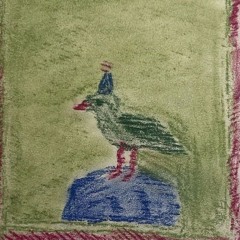 Seabird