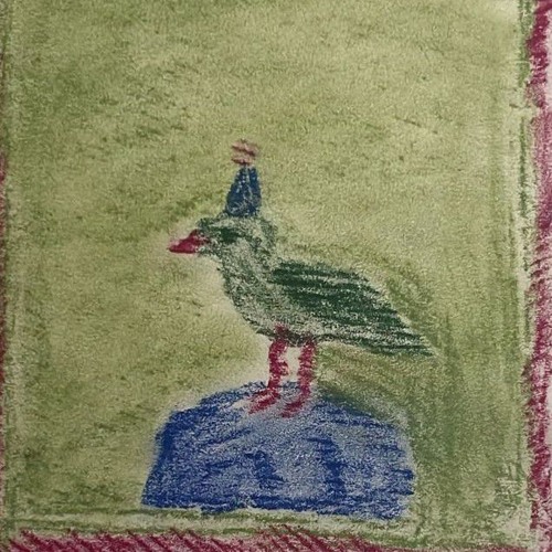 Seabird