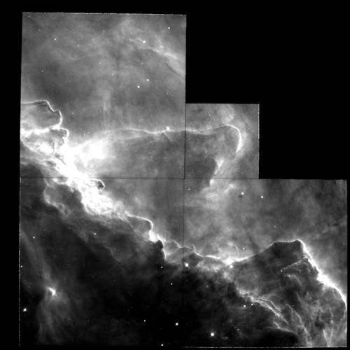 STARDUST |FT.VANN|P.SJHN X CLVR|+NEW LIFE SNIPPET|