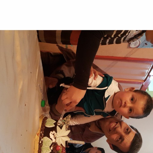 سورة النمل هزاع البلوشي