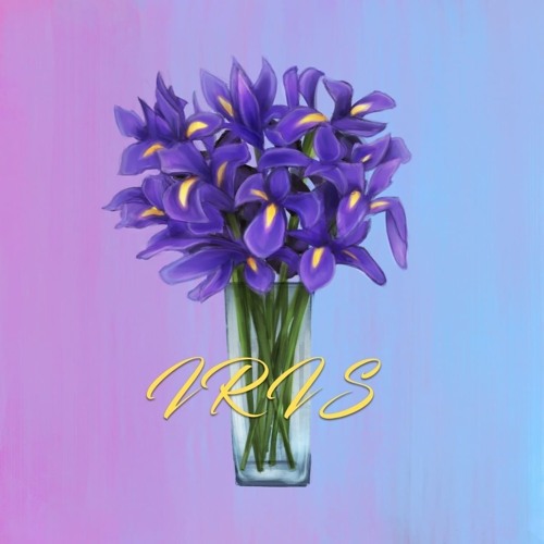 Iris (prod. by Arcane Beats)
