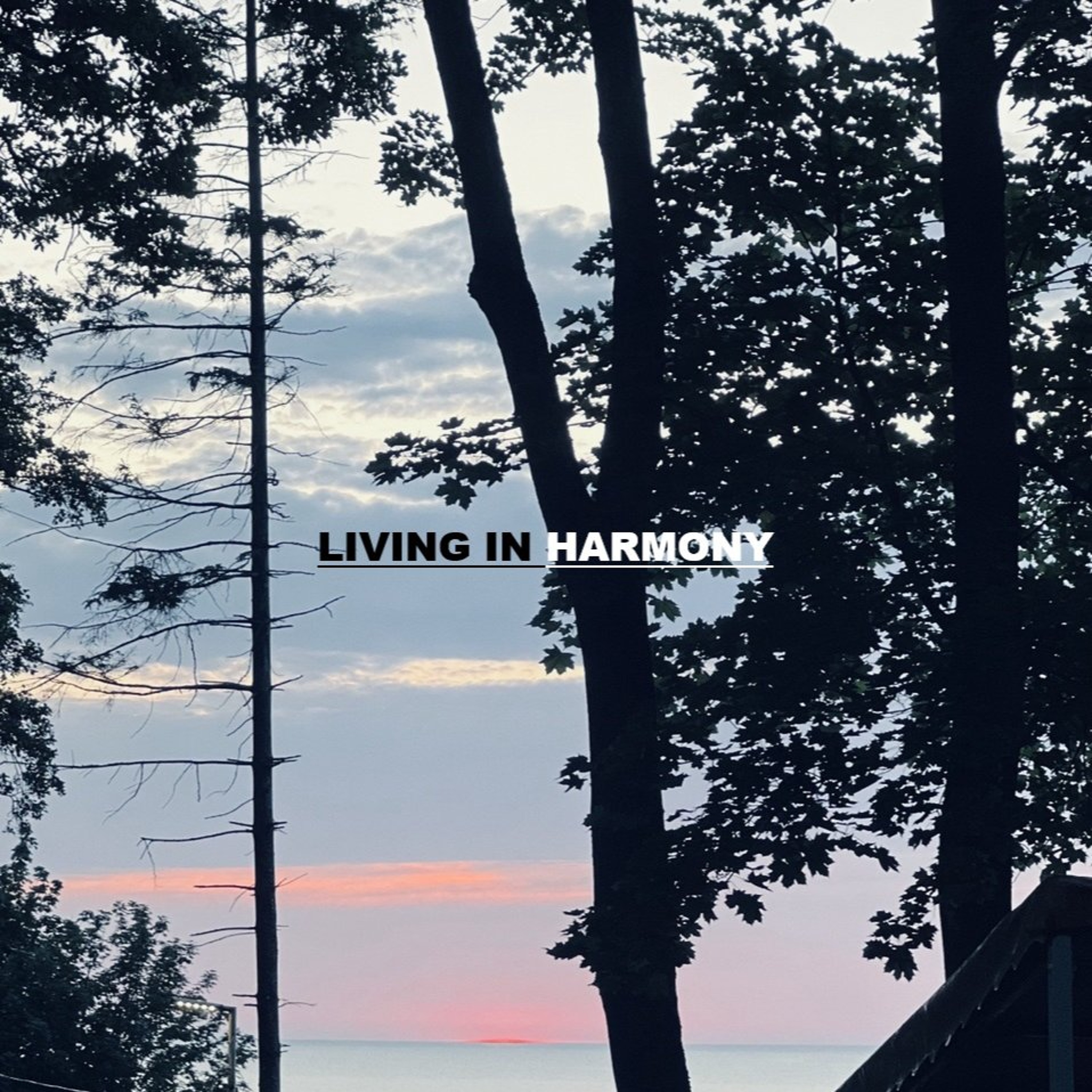 SVÖGAN - LIVING IN HARMONY 200 (Essence)