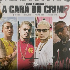 A CARA DO CRIME 3 "Brinde a Liberdade" - MC Poze do Rodo | Bielzin | Filipe Ret | Orochi  ( PREVIA )