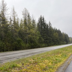 Dosed - RHCP (432hz guitar loop cover)