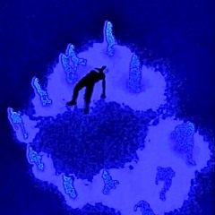 Kurt Wagner- Nightcrawler