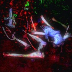 Being eaten by vultures type beat