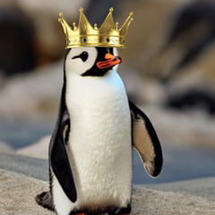 Penguin Popstar