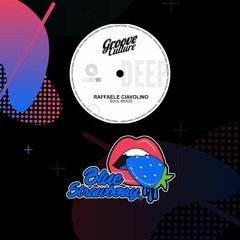 Raffaele Ciavolino - Soul Mood (Extended Mix)