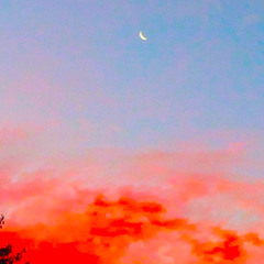 The Moon Square