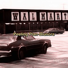 Peeping Plan 2 For Album