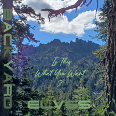 Is This What You Want? (Sample)