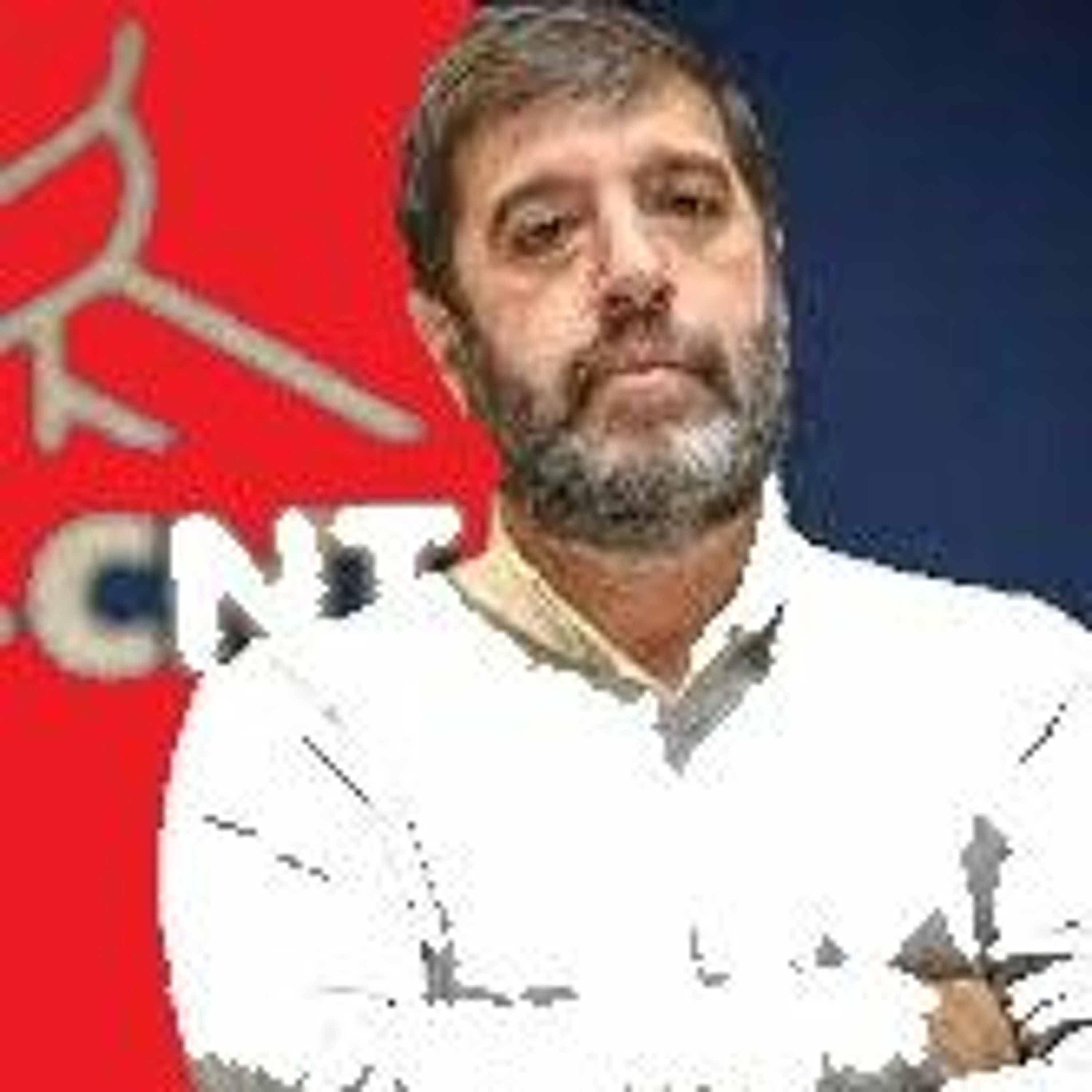 Reactiva Contenidos